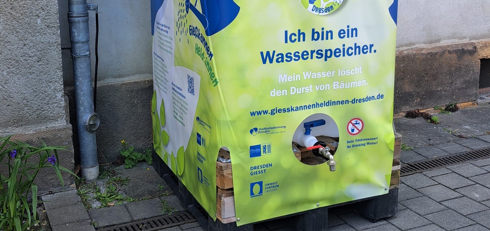Regenwasser statt Trinkwasser für unsere Gärten
